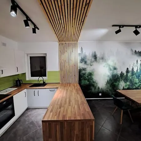 Vakantiehuis Wlokna Classic *