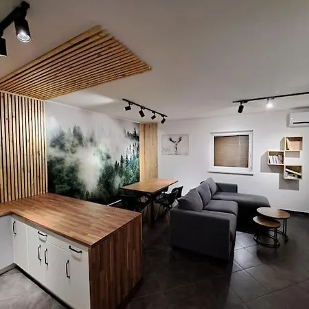 Wlokna Classic Holiday home *