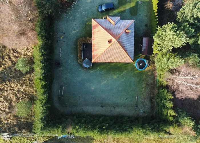 Wlokna Classic Potrzanowo